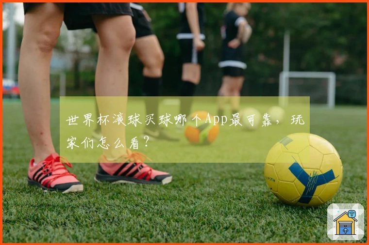 世界杯滚球买球哪个App最可靠，玩家们怎么看？