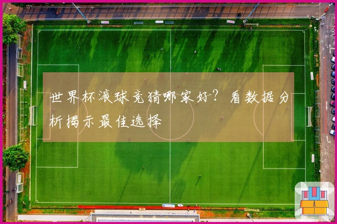世界杯滚球竞猜哪家好？看数据分析揭示最佳选择