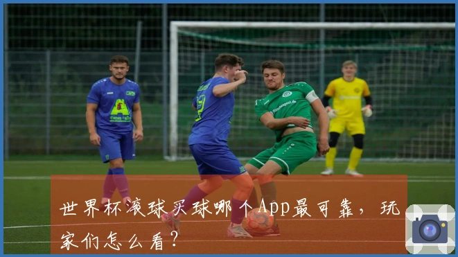 世界杯滚球买球哪个App最可靠，玩家们怎么看？