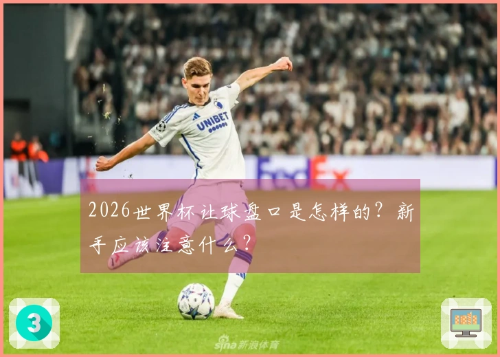 2026世界杯让球盘口是怎样的？新手应该注意什么？