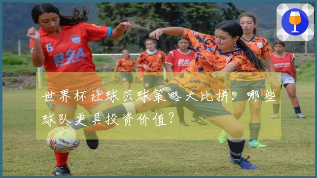 世界杯让球买球策略大比拼：哪些球队更具投资价值？
