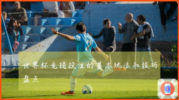 世界杯竞猜投注的基本玩法和技巧盘点